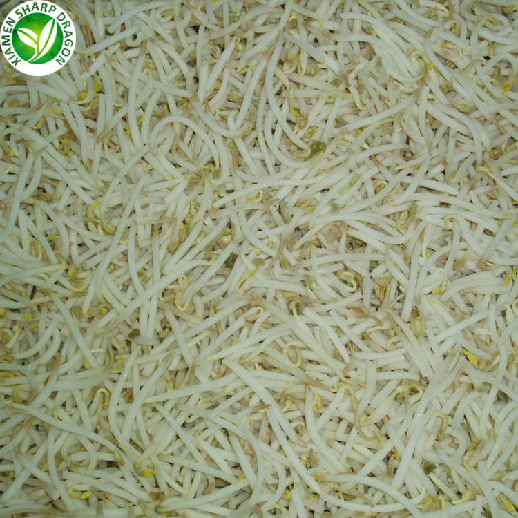 bean sprouts in price bean sprouts in price