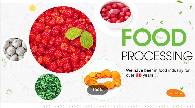 IQF/Bqf Wholesale Frozen Fresh Whole/Block/Slice Scomber Japonicus for Bulk Frozen Mackerel Fish