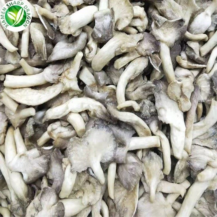 Vacuum fried mushroom crisps in bulk Vacuum fried mushroom crisps in bulk