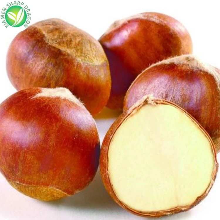 sweet chestnut suppliers sweet chestnut suppliers
