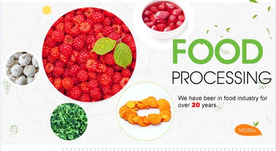 Frozen Golden Zucchini Supplier Frozen golden zucchini supplier for importers distributors and foodservice buyers