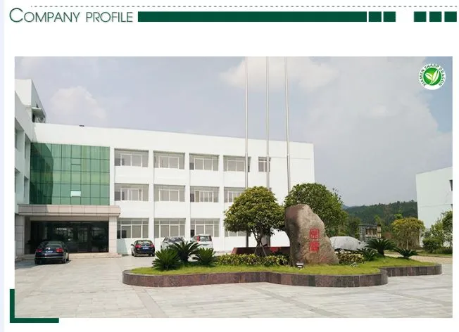 XMSDfood company profile for frozen sweet potato fries buyers