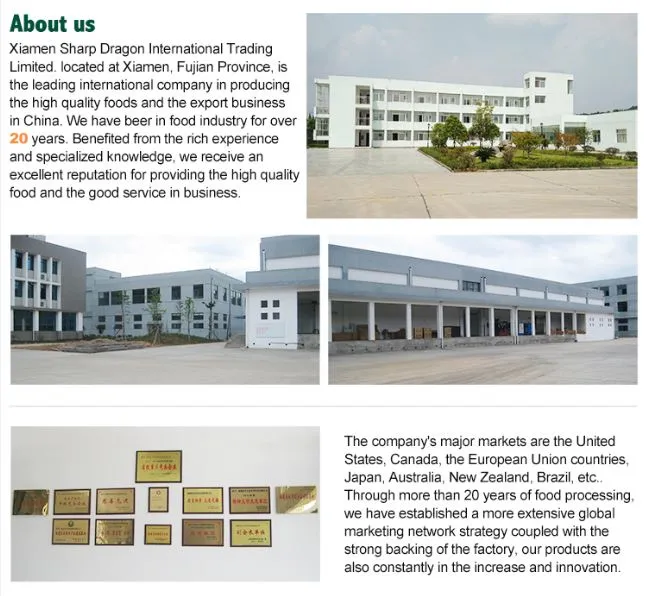 XMSDfood frozen food export service support