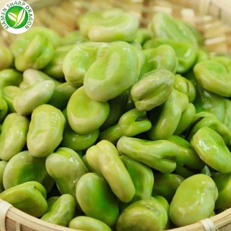 IQF frozen fava beans supplier in China for wholesale buyers