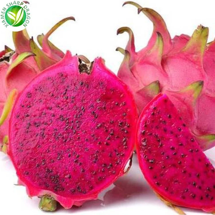 Frozen Dragon Fruit Supplier Frozen dragon fruit supplier for B2B fruit buyers