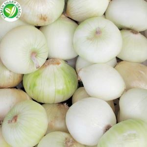 Parduodami šaldyti svogūnai