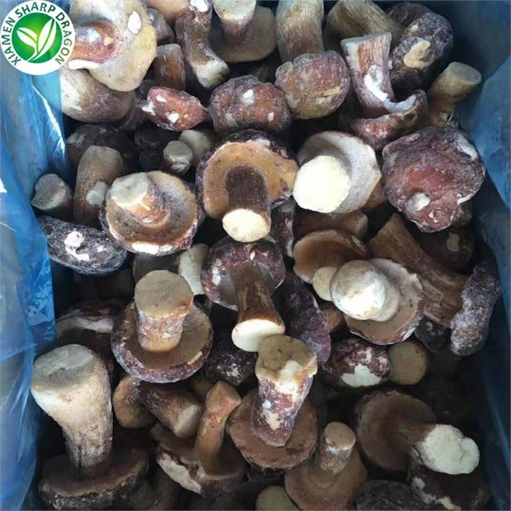 Porcini grybai urmu