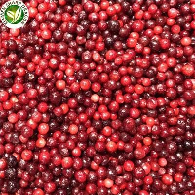 Būtinė IQF sušalusi lingberry geros kokybės