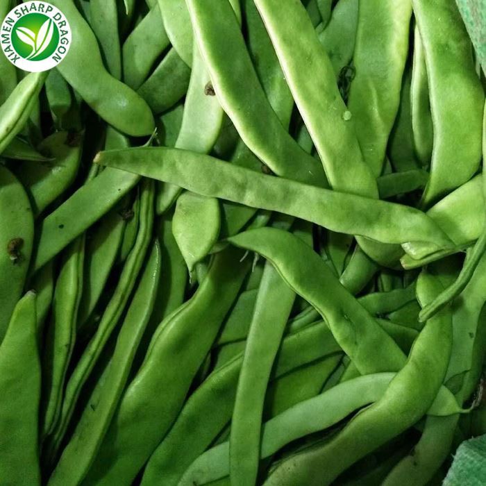 BRC A Approved Romano Bean