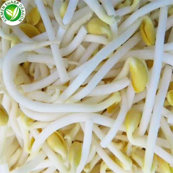 Buy Frozen Mung Bean Sprouts Online