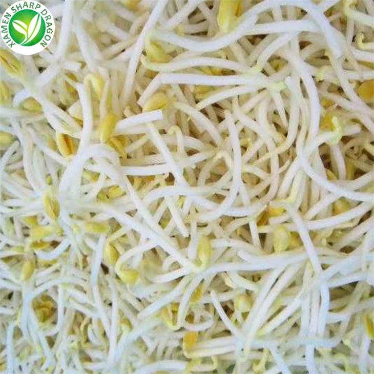 Buy Frozen Mung Bean Sprouts Online