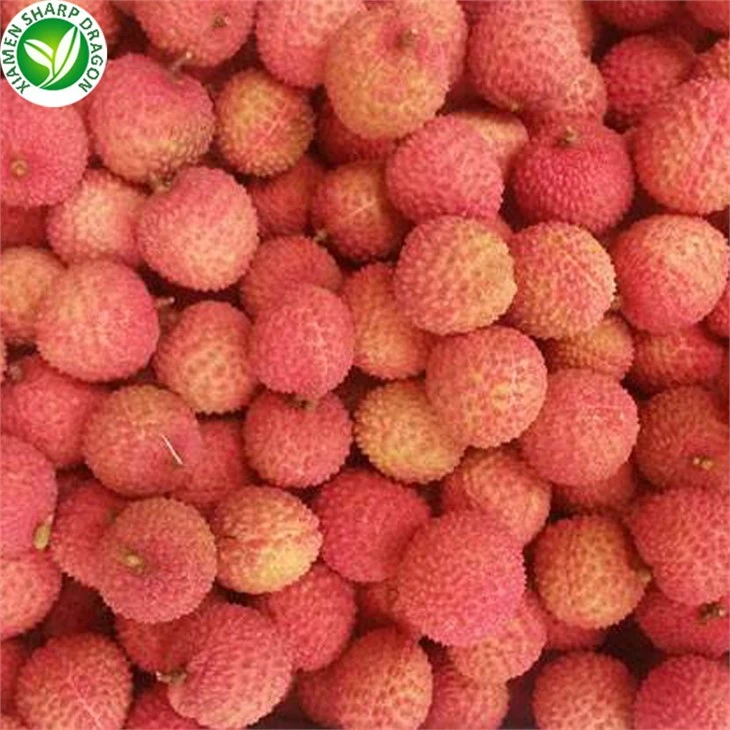 Lychee Fruit Price