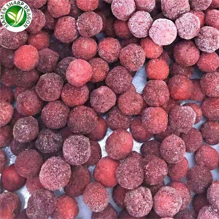 Red Bayberry Fruit For Sale